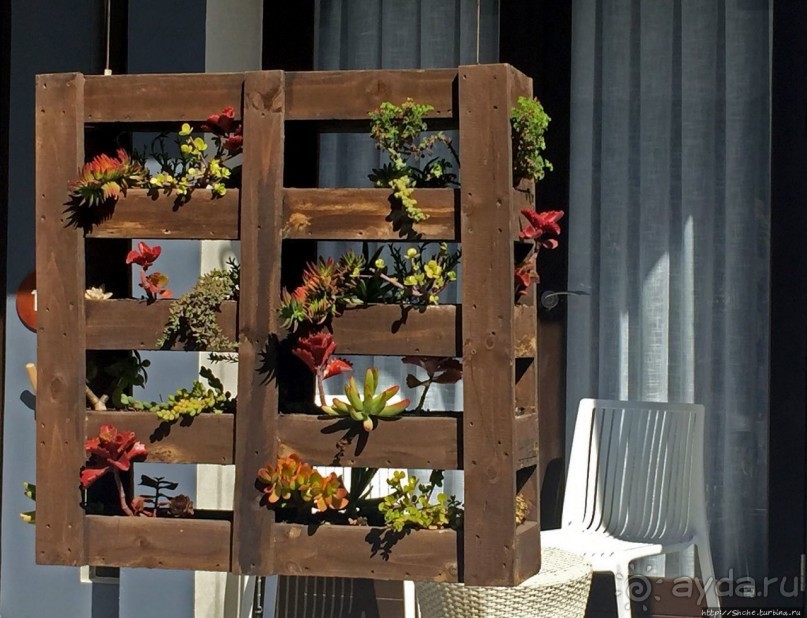 Бутик-отель и устрицы с шампанским на завтрак