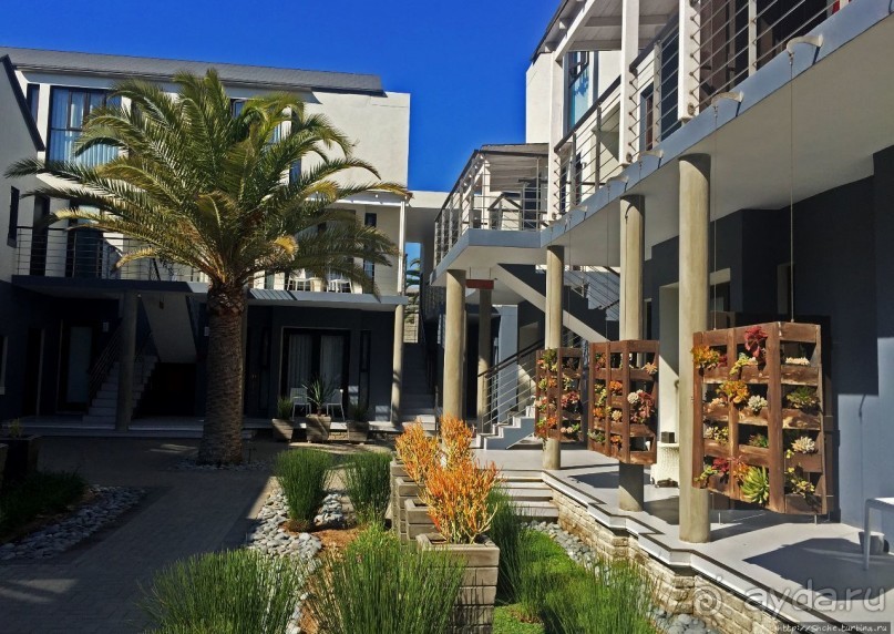 Бутик-отель и устрицы с шампанским на завтрак