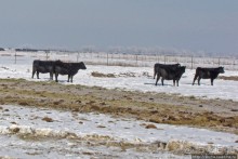 Солт-Лэйк-Сити, столица Юты, центр мирового мормонства