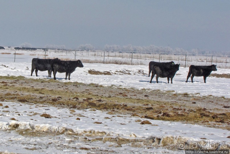 Солт-Лэйк-Сити, столица Юты, центр мирового мормонства