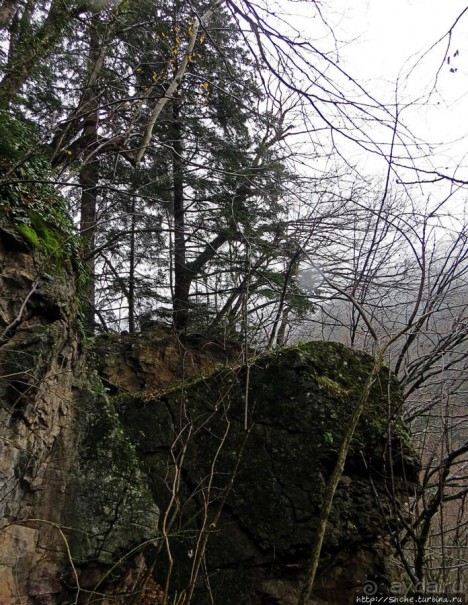Граненый стакан, вынутый из морозилки — нац. парк Алтындере