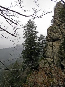 Граненый стакан, вынутый из морозилки — нац. парк Алтындере