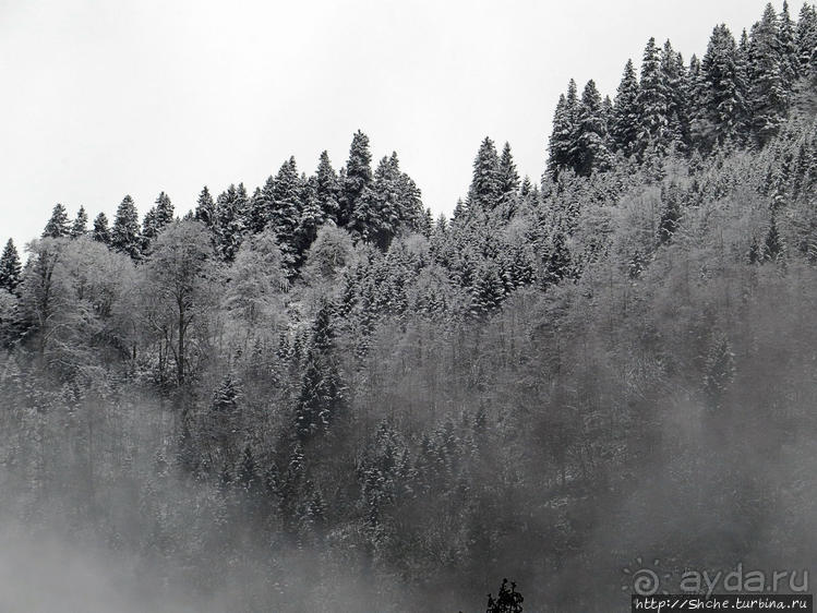 Граненый стакан, вынутый из морозилки — нац. парк Алтындере