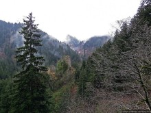 Граненый стакан, вынутый из морозилки — нац. парк Алтындере