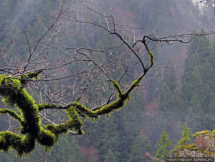 Граненый стакан, вынутый из морозилки — нац. парк Алтындере
