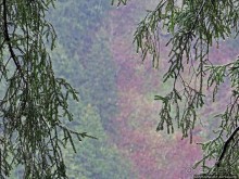 Граненый стакан, вынутый из морозилки — нац. парк Алтындере