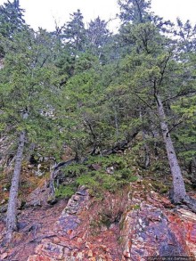 Граненый стакан, вынутый из морозилки — нац. парк Алтындере