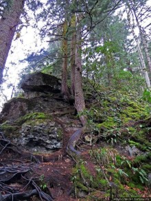 Граненый стакан, вынутый из морозилки — нац. парк Алтындере