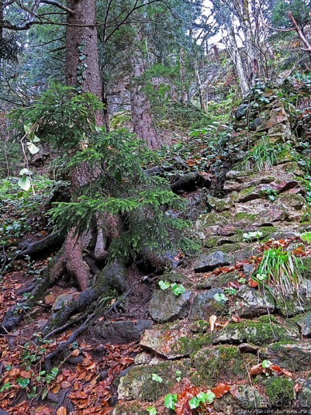 Граненый стакан, вынутый из морозилки — нац. парк Алтындере
