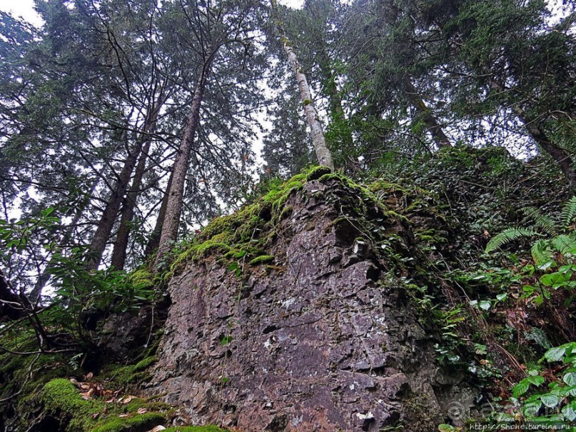 Граненый стакан, вынутый из морозилки — нац. парк Алтындере