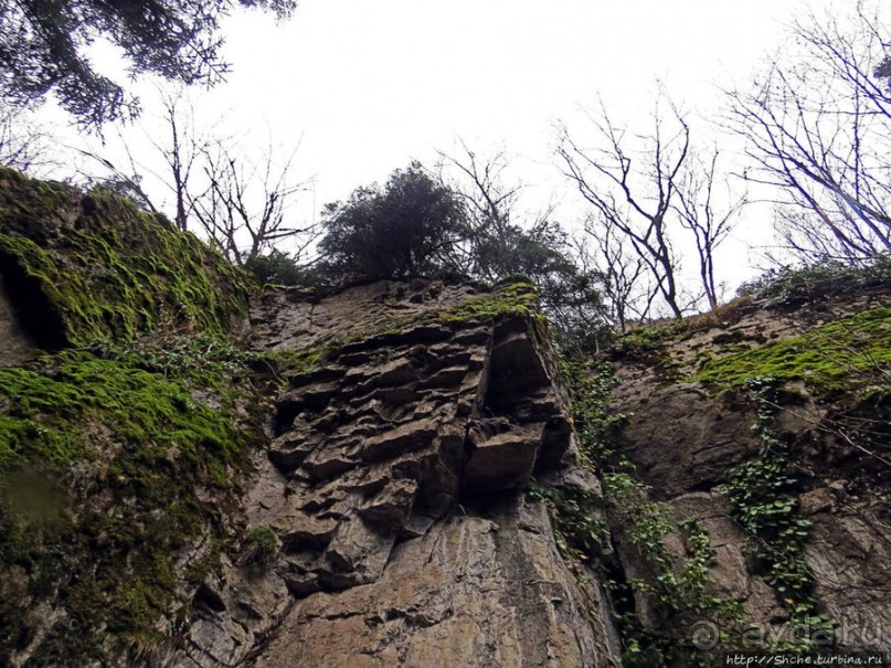 Граненый стакан, вынутый из морозилки — нац. парк Алтындере