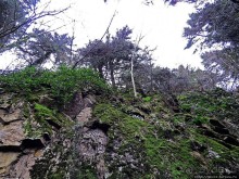 Граненый стакан, вынутый из морозилки — нац. парк Алтындере