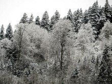 Граненый стакан, вынутый из морозилки — нац. парк Алтындере