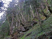 Граненый стакан, вынутый из морозилки — нац. парк Алтындере