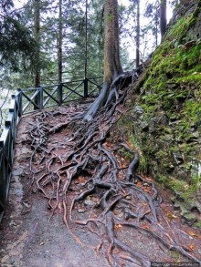 Граненый стакан, вынутый из морозилки — нац. парк Алтындере