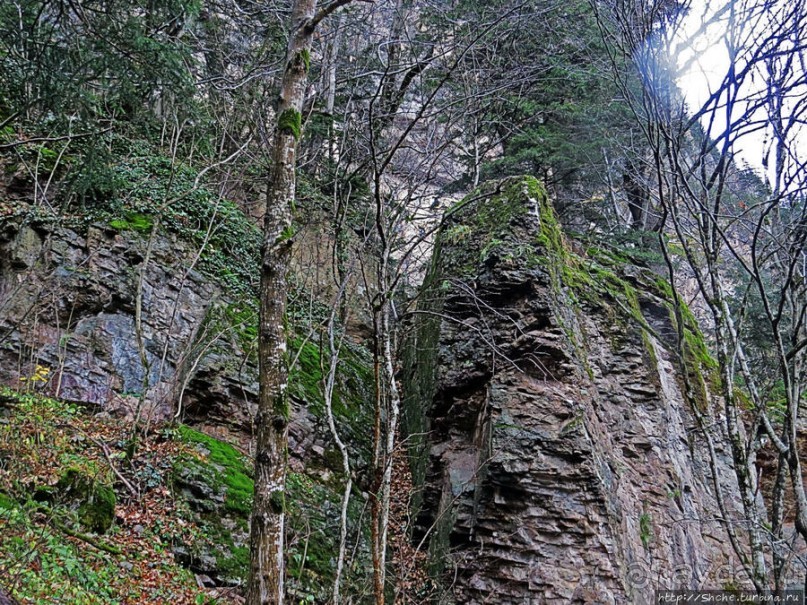 Граненый стакан, вынутый из морозилки — нац. парк Алтындере