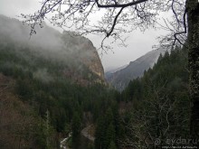 Граненый стакан, вынутый из морозилки — нац. парк Алтындере