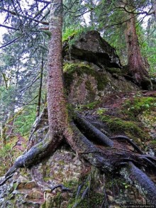 Граненый стакан, вынутый из морозилки — нац. парк Алтындере