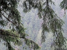 Граненый стакан, вынутый из морозилки — нац. парк Алтындере