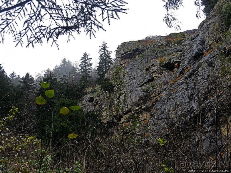 Граненый стакан, вынутый из морозилки — нац. парк Алтындере
