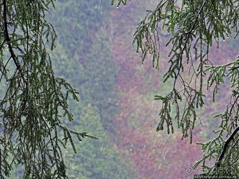 Граненый стакан, вынутый из морозилки — нац. парк Алтындере