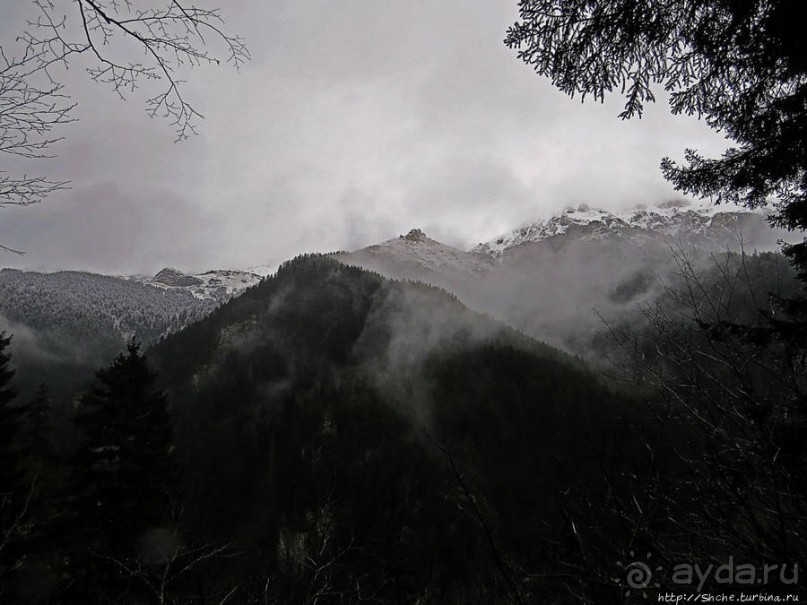 Граненый стакан, вынутый из морозилки — нац. парк Алтындере