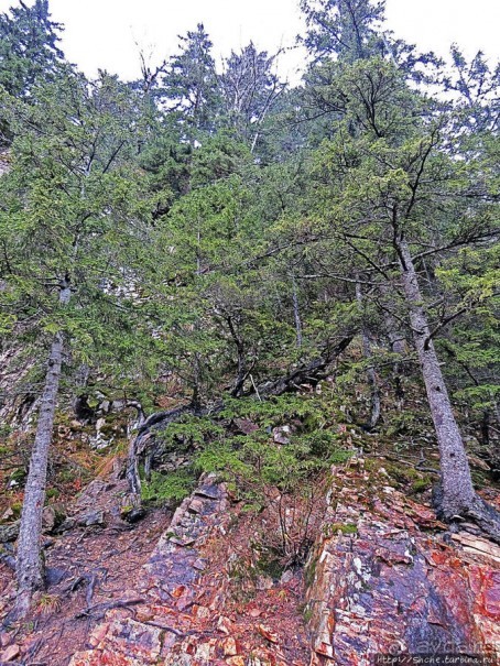 Граненый стакан, вынутый из морозилки — нац. парк Алтындере