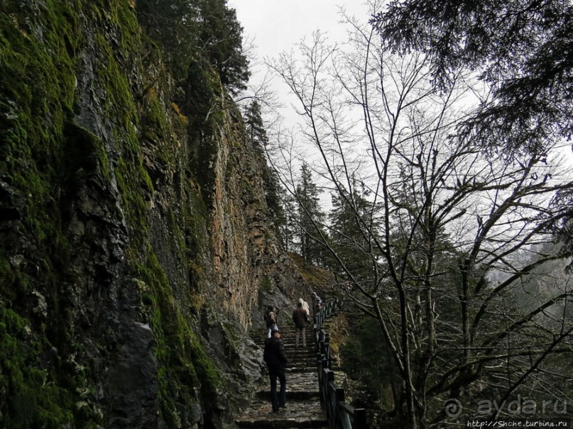 Граненый стакан, вынутый из морозилки — нац. парк Алтындере