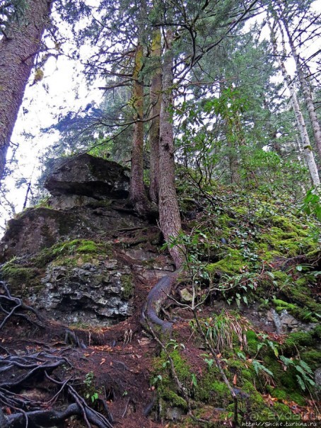 Граненый стакан, вынутый из морозилки — нац. парк Алтындере