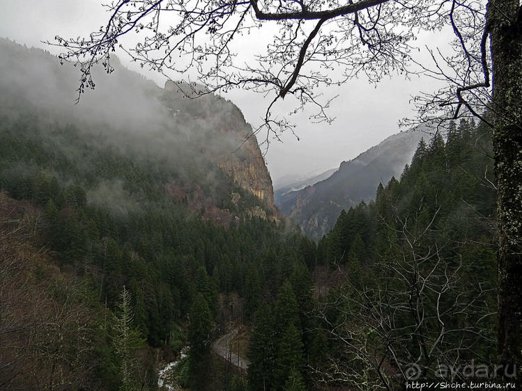 Граненый стакан, вынутый из морозилки — нац. парк Алтындере