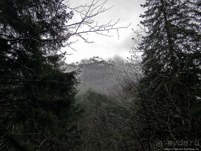 Граненый стакан, вынутый из морозилки — нац. парк Алтындере