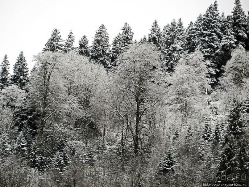 Граненый стакан, вынутый из морозилки — нац. парк Алтындере