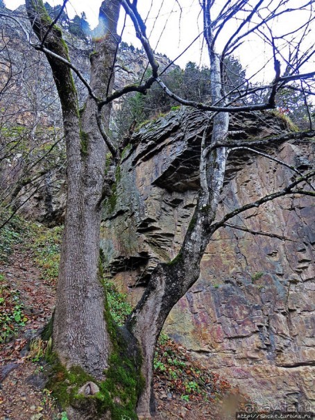 Граненый стакан, вынутый из морозилки — нац. парк Алтындере