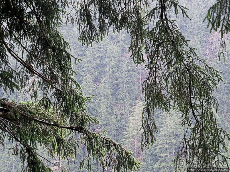 Граненый стакан, вынутый из морозилки — нац. парк Алтындере