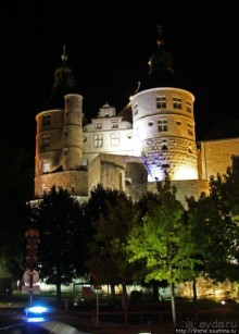 "Спасибо игрокам "Сошо", что нам так было хорошо..."