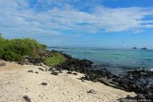 Полудикий пляж "у станции" — позагорать рядом с игуанами