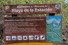 Полудикий пляж "у станции" — позагорать рядом с игуанами