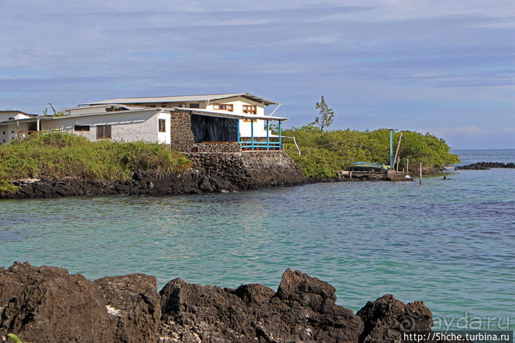 Полудикий пляж "у станции" — позагорать рядом с игуанами
