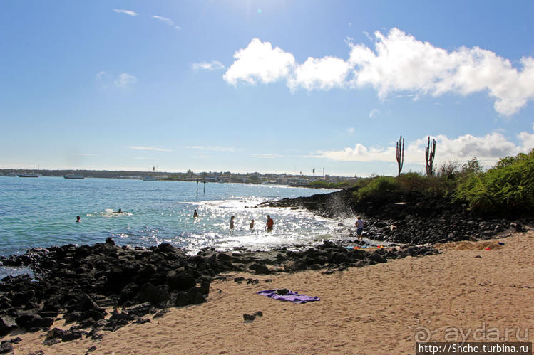 Полудикий пляж "у станции" — позагорать рядом с игуанами