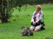 На редкость воспитанные мартышки-попрошайки из Энтеббе