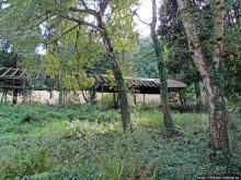 От Драхенфельса к Драхенбургу пешком. Сюрприз в лесу