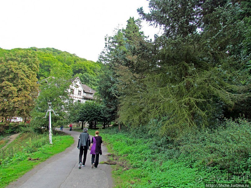 От Драхенфельса к Драхенбургу пешком. Сюрприз в лесу