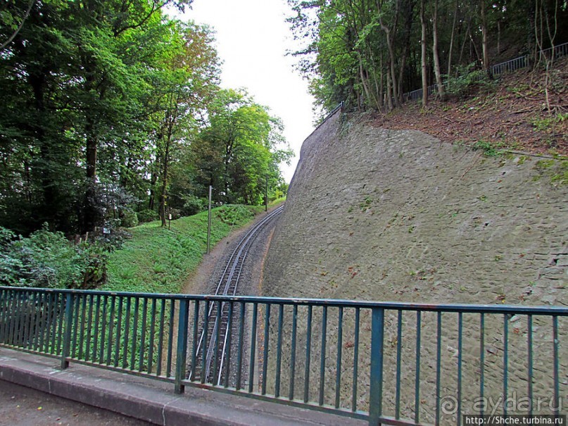 От Драхенфельса к Драхенбургу пешком. Сюрприз в лесу