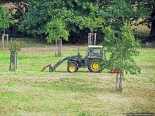От Драхенфельса к Драхенбургу пешком. Сюрприз в лесу