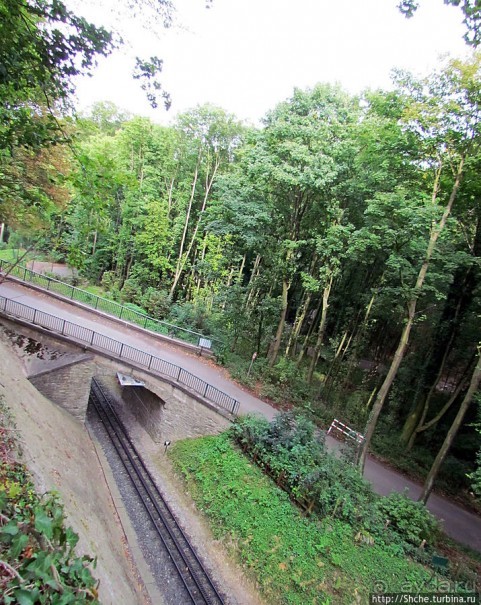 От Драхенфельса к Драхенбургу пешком. Сюрприз в лесу