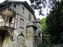 От Драхенфельса к Драхенбургу пешком. Сюрприз в лесу