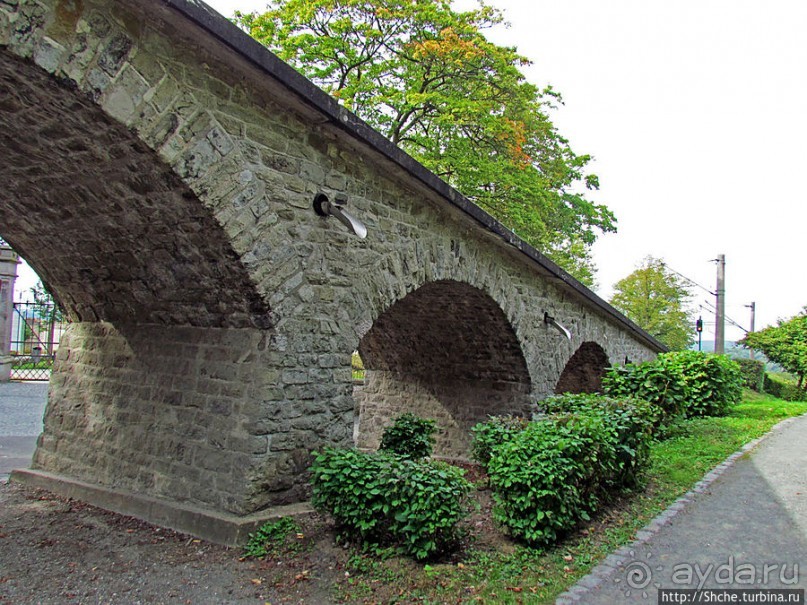 Альбом отзыва "От Драхенфельса к Драхенбургу пешком. Сюрприз в лесу"