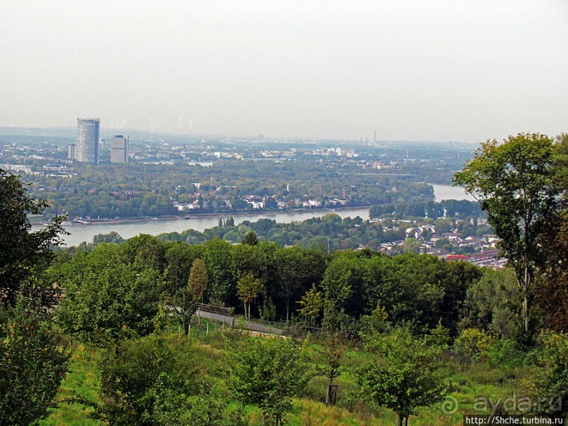 Альбом отзыва "От Драхенфельса к Драхенбургу пешком. Сюрприз в лесу"