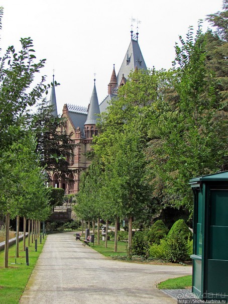 Альбом отзыва "От Драхенфельса к Драхенбургу пешком. Сюрприз в лесу"