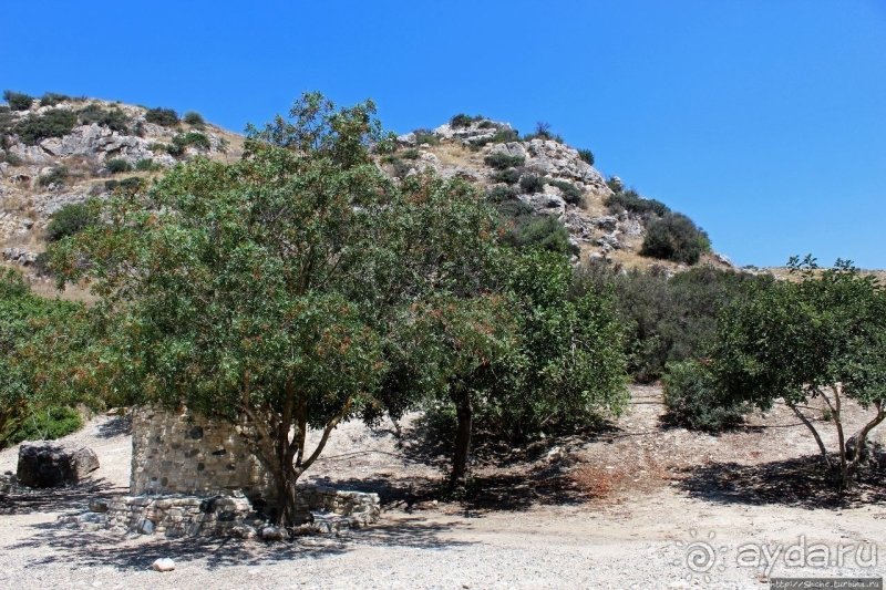 Как жили киприоты девять тысяч лет назад